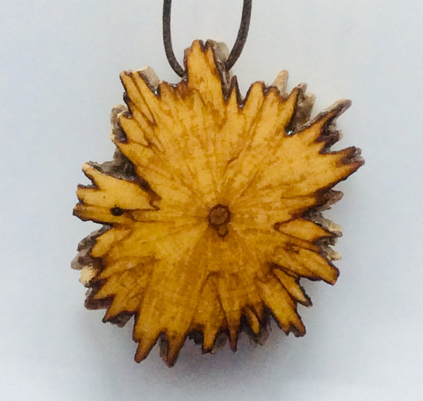 Palo Santo Pendant - Begonia