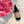 Load image into Gallery viewer, ~NEW~ Rose Water Spray