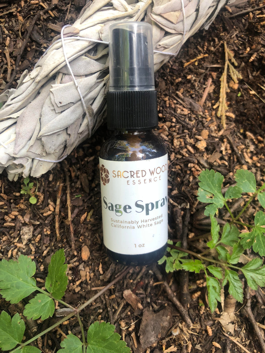 sacred garden spray Sage Spray – Sacred Wood Essence LLC