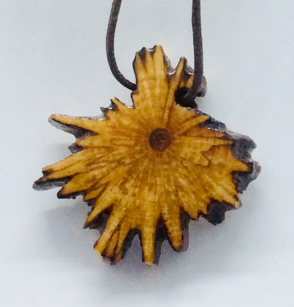 Palo Santo Pendant Star Burst