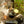 Load image into Gallery viewer, Copal and Powder Burning kit