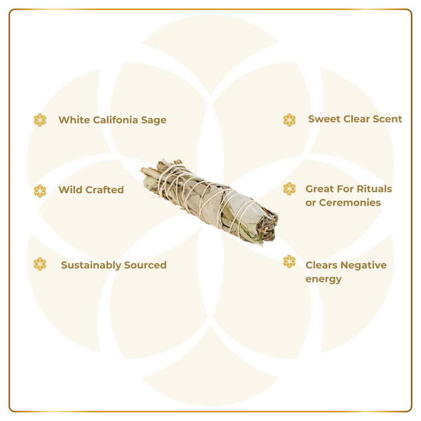 Sage Bundle
