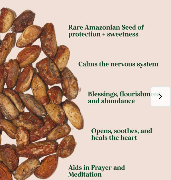 *NEW* Coquino Anointing Oil