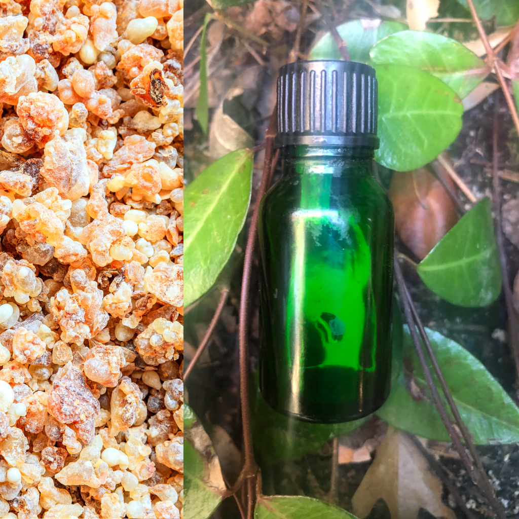 Frankincense Sacra Essential Oil