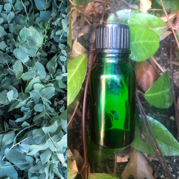 ~NEW~ Eucalyptus Essential Oil