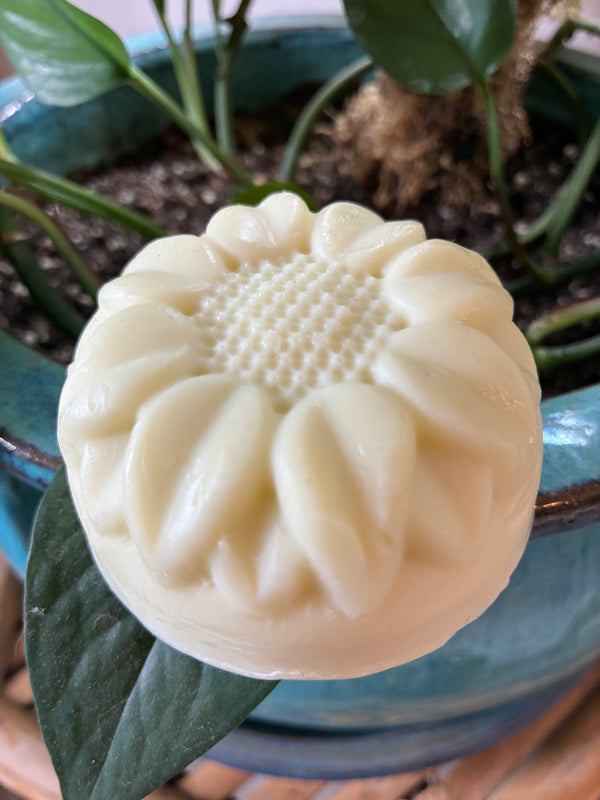 ~NEW~ Palo Santo Soap