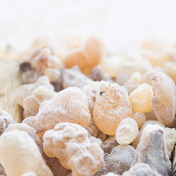 Frankincense Resin - Boswellia Sacra