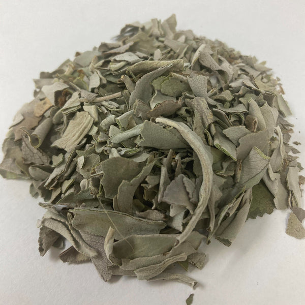 NEW - Sage Loose Leaf