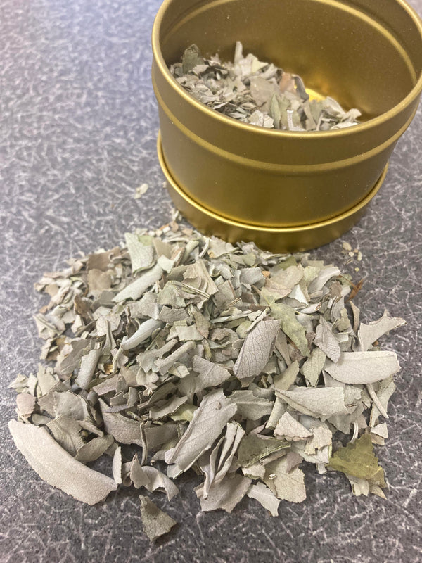 NEW - Sage Loose Leaf