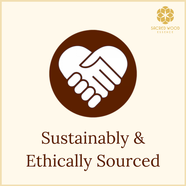 Palo Santo Grade B Sticks - 1/2 lb